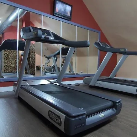 Hospedium Europa Centro マガス・デ・ピスエルガ