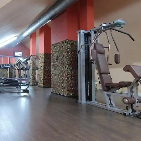 Hospedium Europa Centro 4* Магас-де-Писуэрга