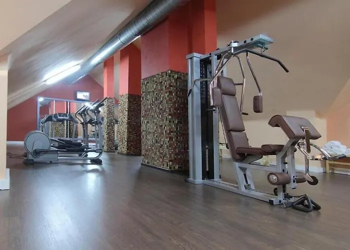 Hospedium Europa Centro 4* Magaz De Pisuerga